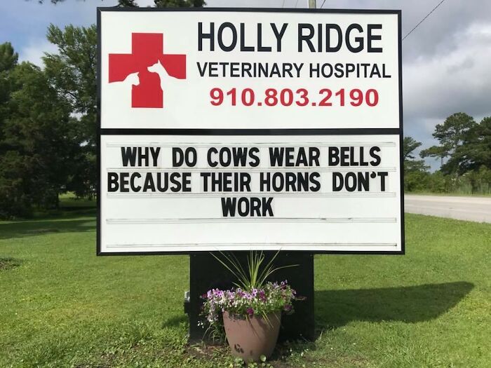 Funny-Outdoor-Signs-Holly-Ridge-Veterinary-Hospital