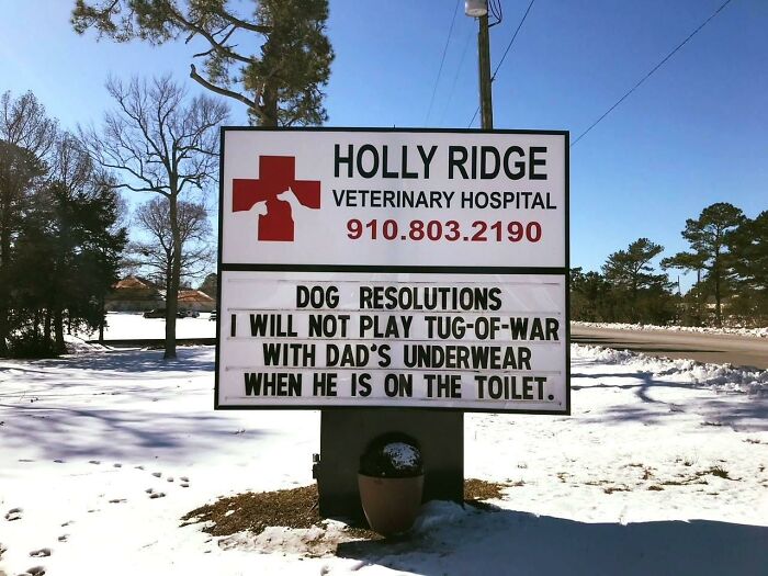 Funny-Outdoor-Signs-Holly-Ridge-Veterinary-Hospital