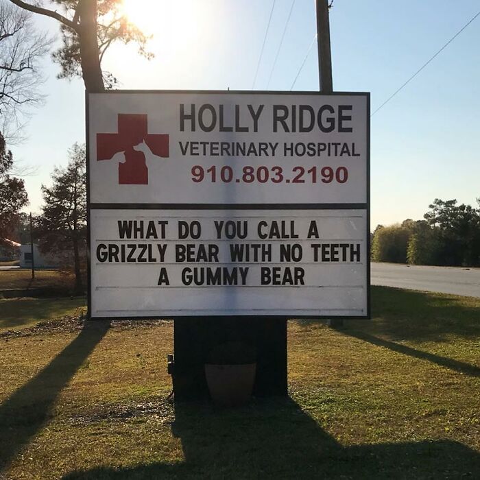 Funny-Outdoor-Signs-Holly-Ridge-Veterinary-Hospital