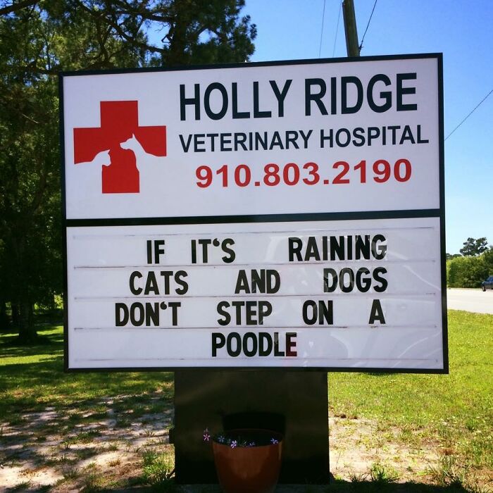 Funny-Outdoor-Signs-Holly-Ridge-Veterinary-Hospital