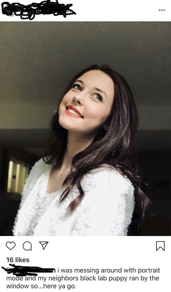 Accidentally Smiled At The Neighbor’s Dog While Snapping Selfies...here Ya Go