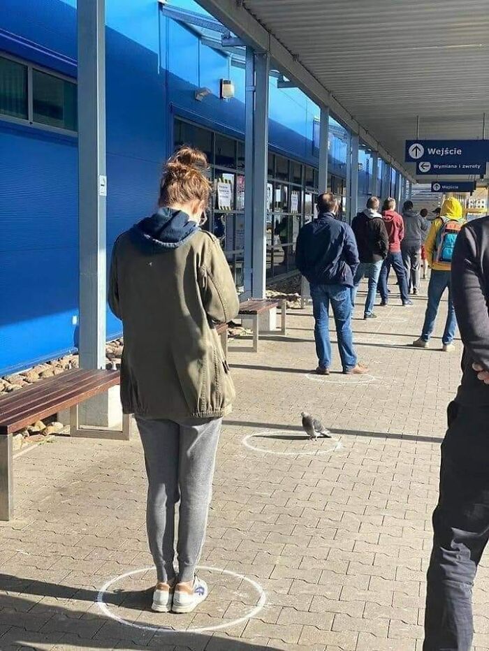 Pictures From Polish Profiles