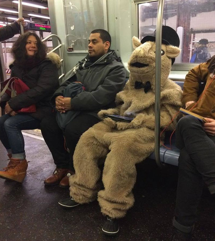 A Great Way To Keep Warm Tonight