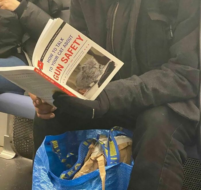 "How To Talk To Your Cat About Gun Safety". Interesting