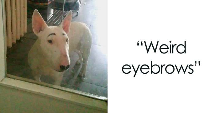 30 Millennial Trends Gen Zers In This Online Group Are Sick And Tired Of