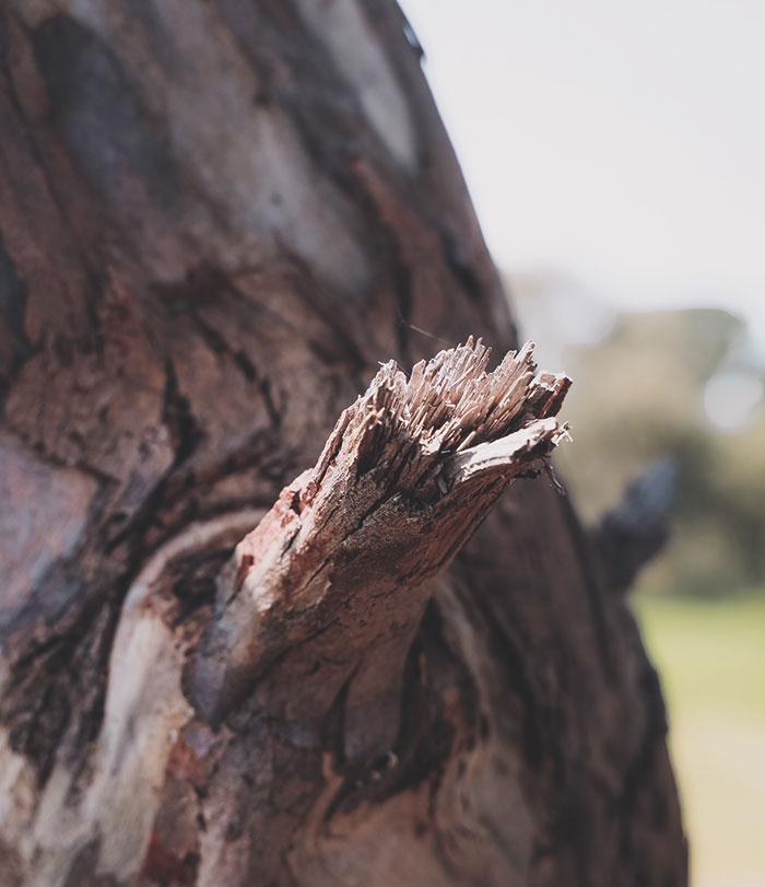 16 Personas cuentan buenas acciones que hicieron pero mantuvieron en secreto