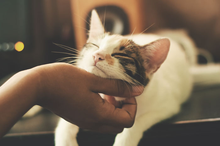 16 Personas cuentan buenas acciones que hicieron pero mantuvieron en secreto