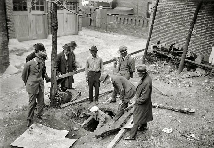 30 ‘Today I Learned’ Facts That Show It’s Never Too Late To Learn (New Pics)