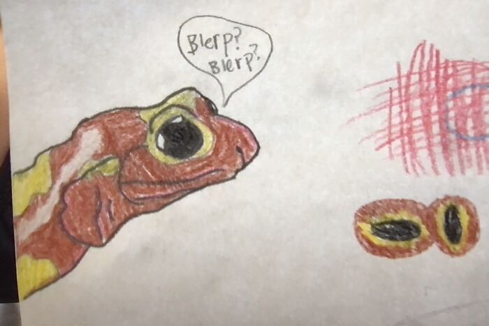 Arboreal Salamander (Pencil And Colored Pencil)