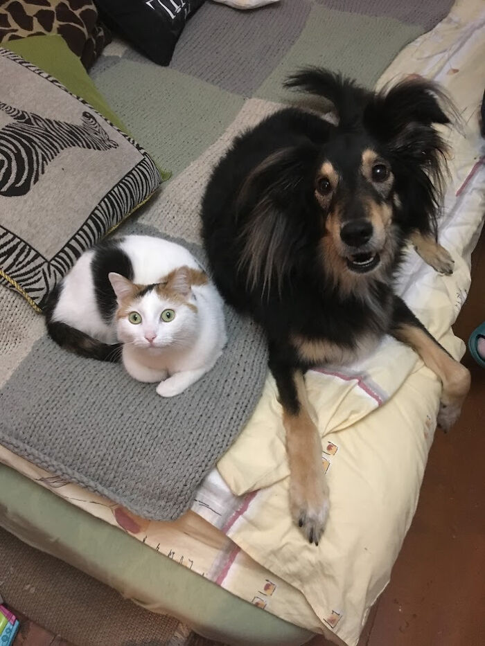 Just Chilling Together