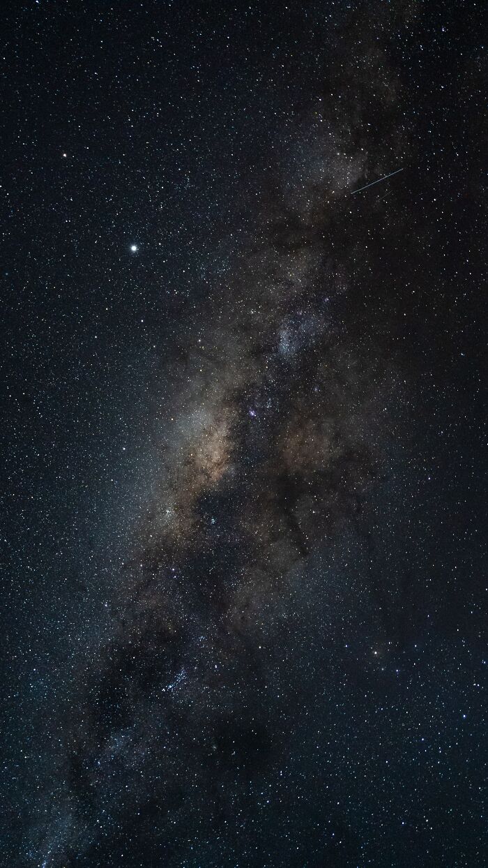 The More You Know: Internet Users Share 50 Cool Facts That Everyone Should Know