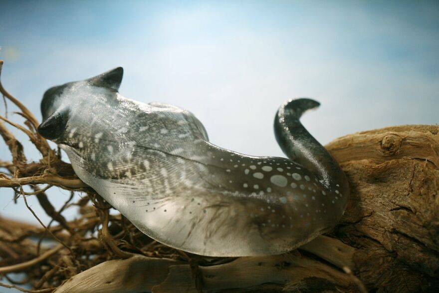 My Studio Makes Transparent Animal Sculptures With Pieces Of Nature Inside My Studio Makes Transparent Animal Sculptures With Pieces Of Nature Inside