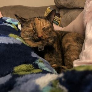 christysmith_1 avatar