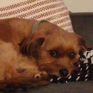 ariamichelepettit avatar