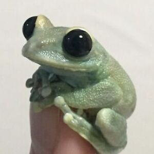 kristinhartman-pezzello avatar