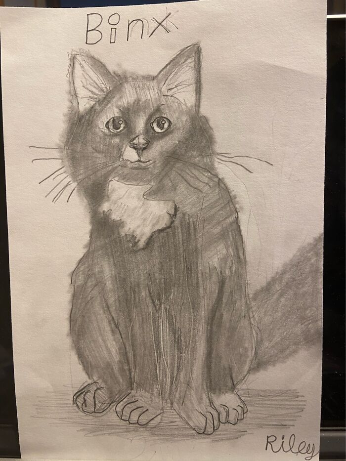 Drawn By My 10 Year Old Son.