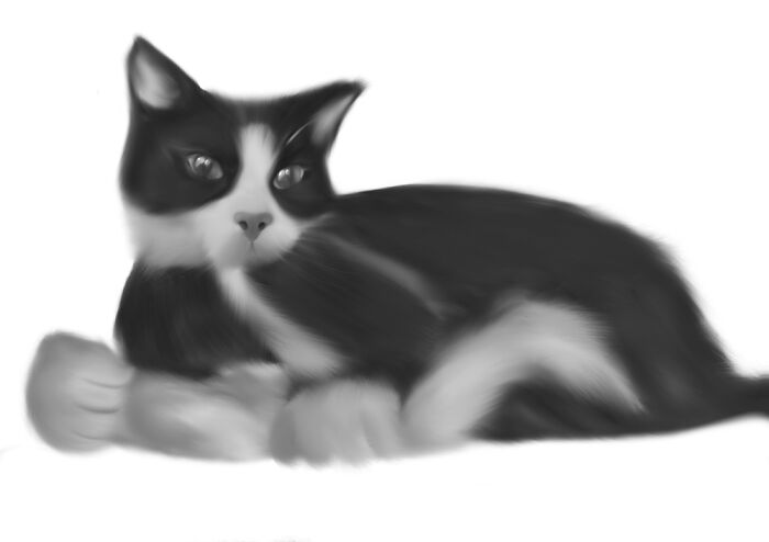 My Beautiful Charlie