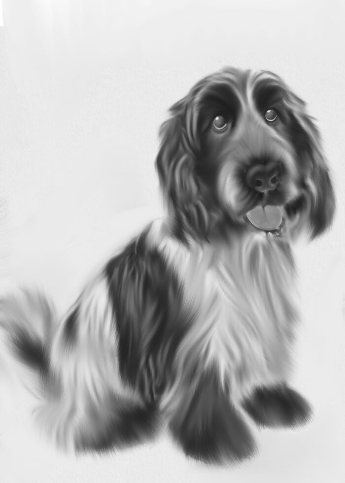 Friends Pet…..my Drawing
