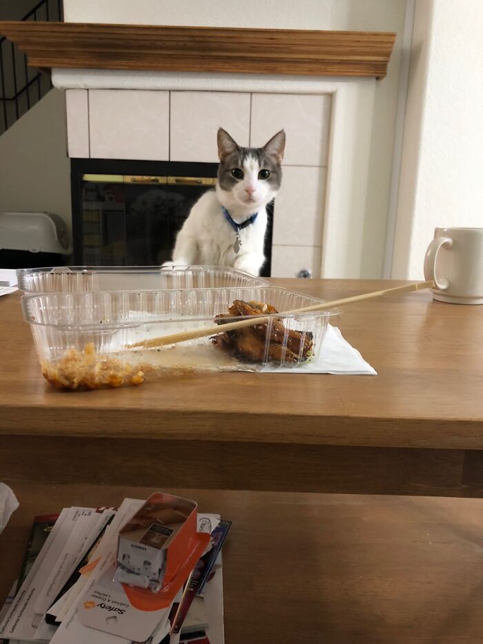 Unagi? You Got Unagi?!