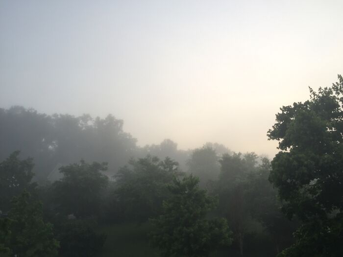 Foggy Morning In Tennessee, USA