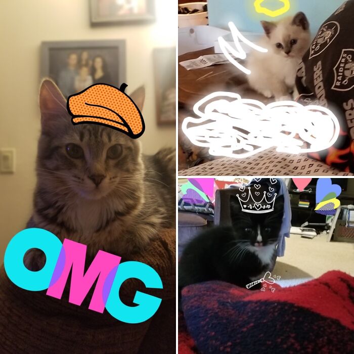 These. Who Made These?