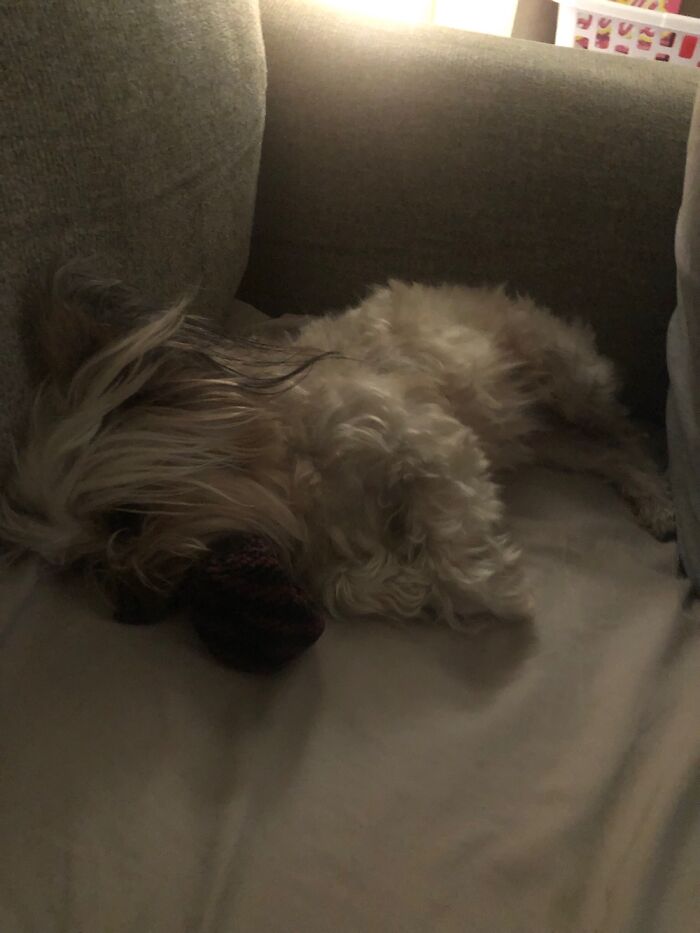 No One’s Allowed Near Her Ball