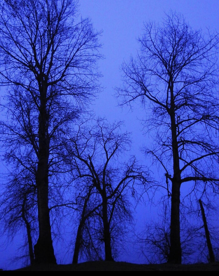 Foggy Morning In The Pnw