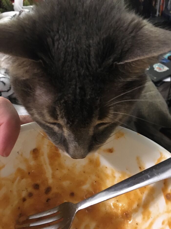 This Little Girl Saying “Are You Done Yet!? I Want To Lick The Bowl!”