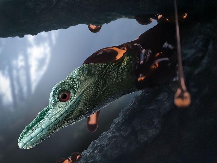 Oculudentavis Khaungraae, The World’s Smallest Dinosaur