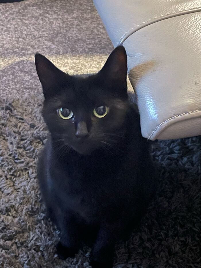 Raven , She’s Very Sweet And Shy