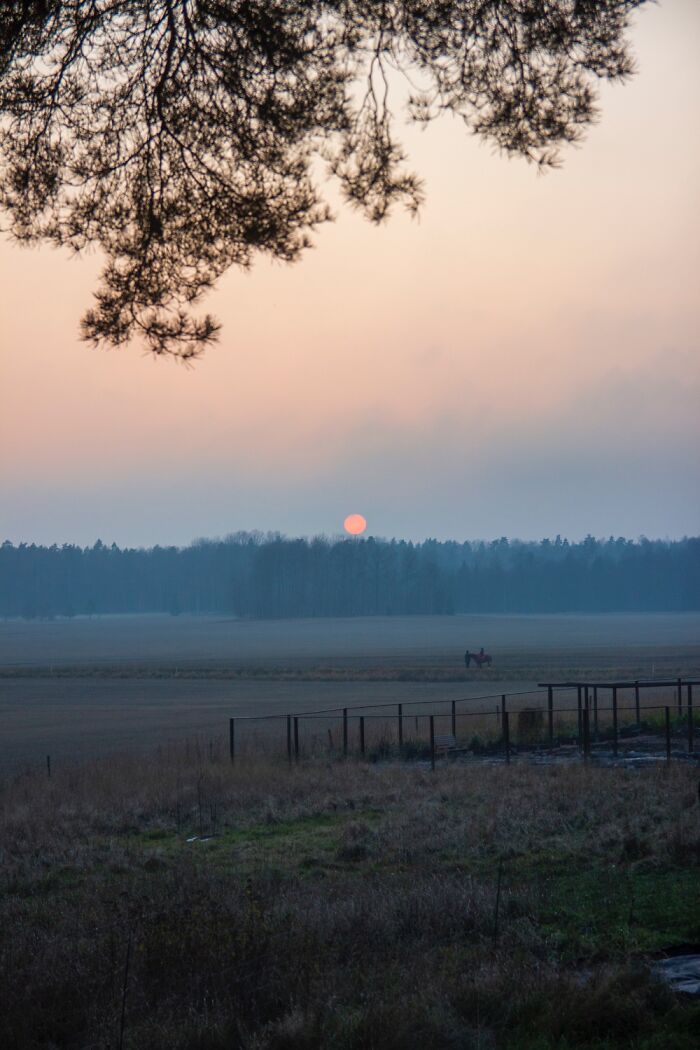Misty Sunset From My Living Room Window
