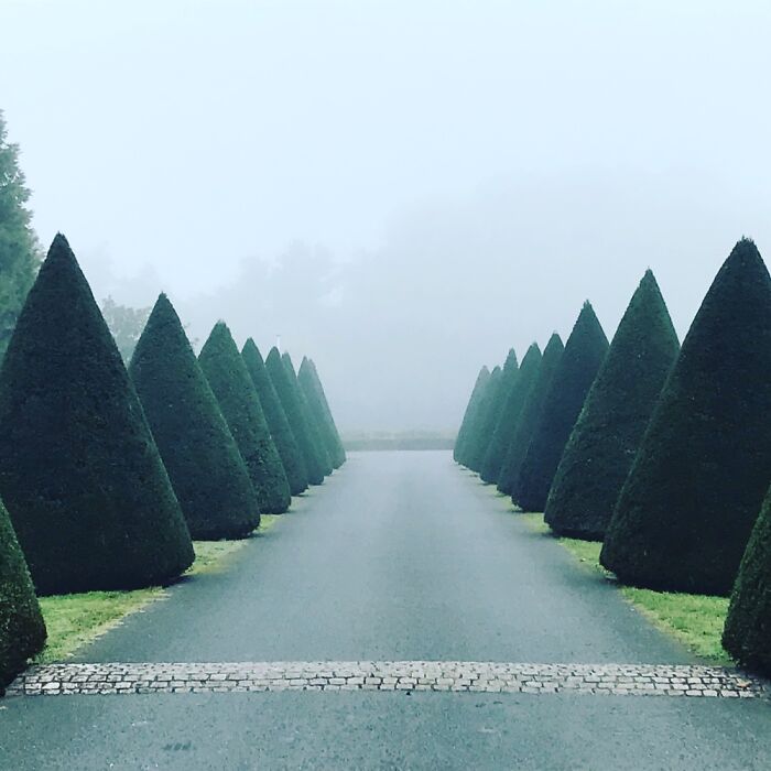 Early Morning Leaving Saint Emilion Vineyard