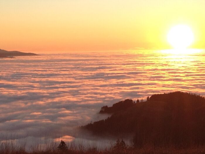 Schainsland Black Forest Germany