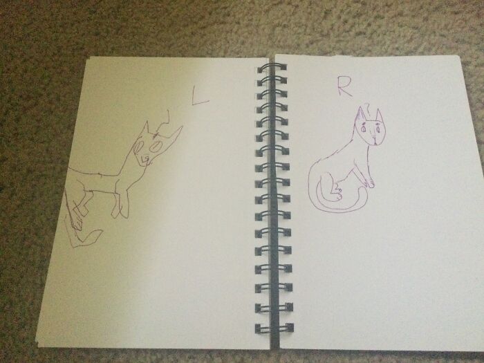 Cat (Sorry If It’s Blurry)