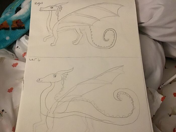 Rainwing Right And Left Hand