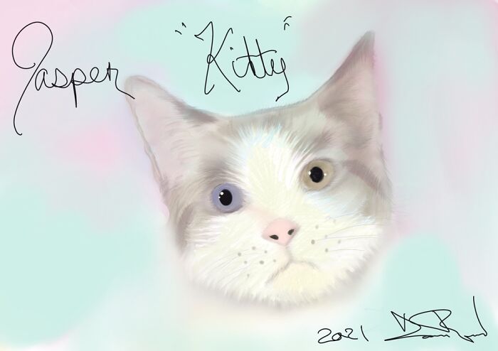 Jasper “Kitty” Keeps Me Company As We Both Suffer Debilitation He Skin Spasms, Me Ms.