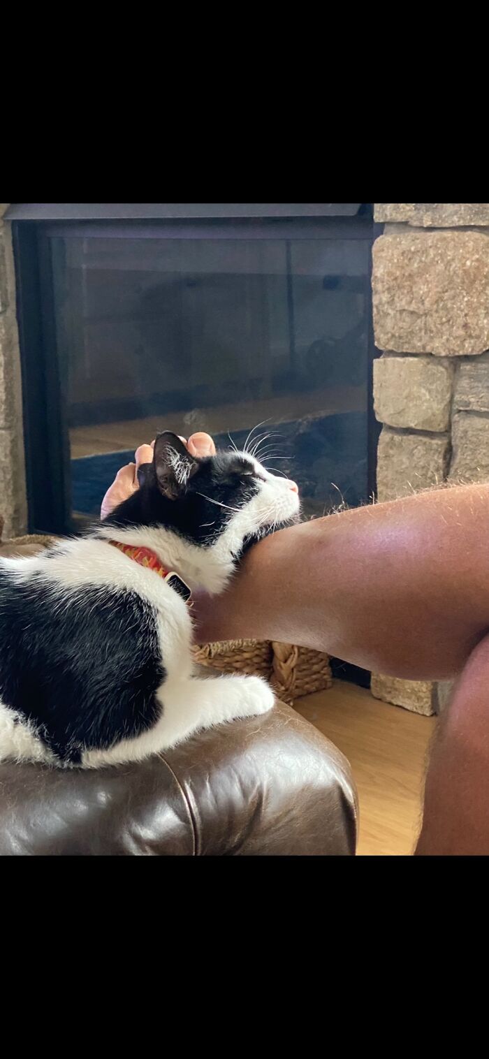 Better Than A Pillow!