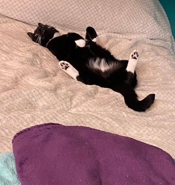 Gotta Air Everything Out Before Bed….