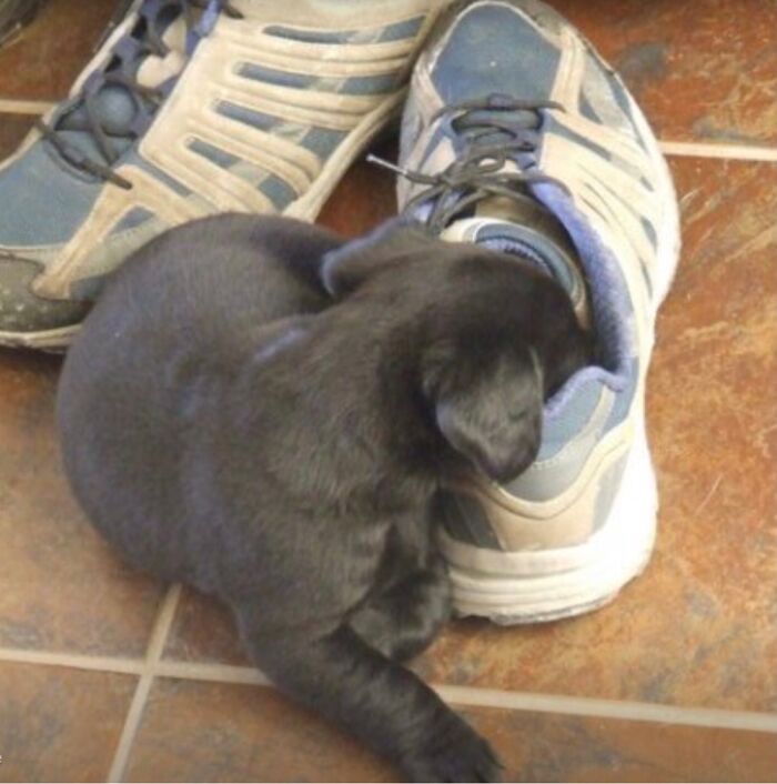 We Aren’t Sure If She’s Sleeping Or Passed Out