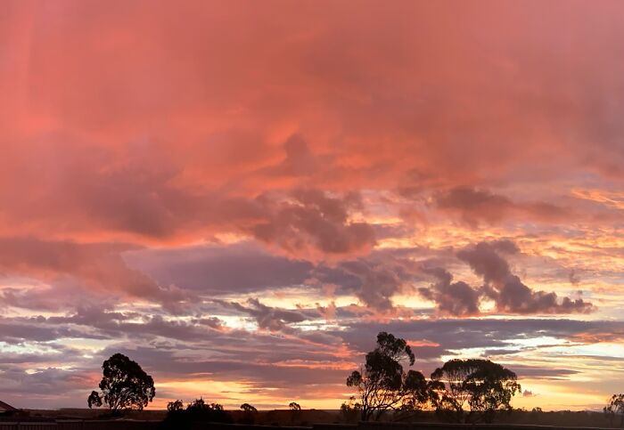 Taken In My Backyard Just As The Sun Began To Set