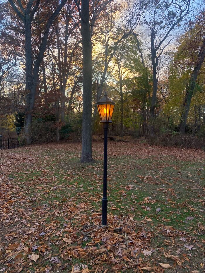 The Sky Above Nissequogue