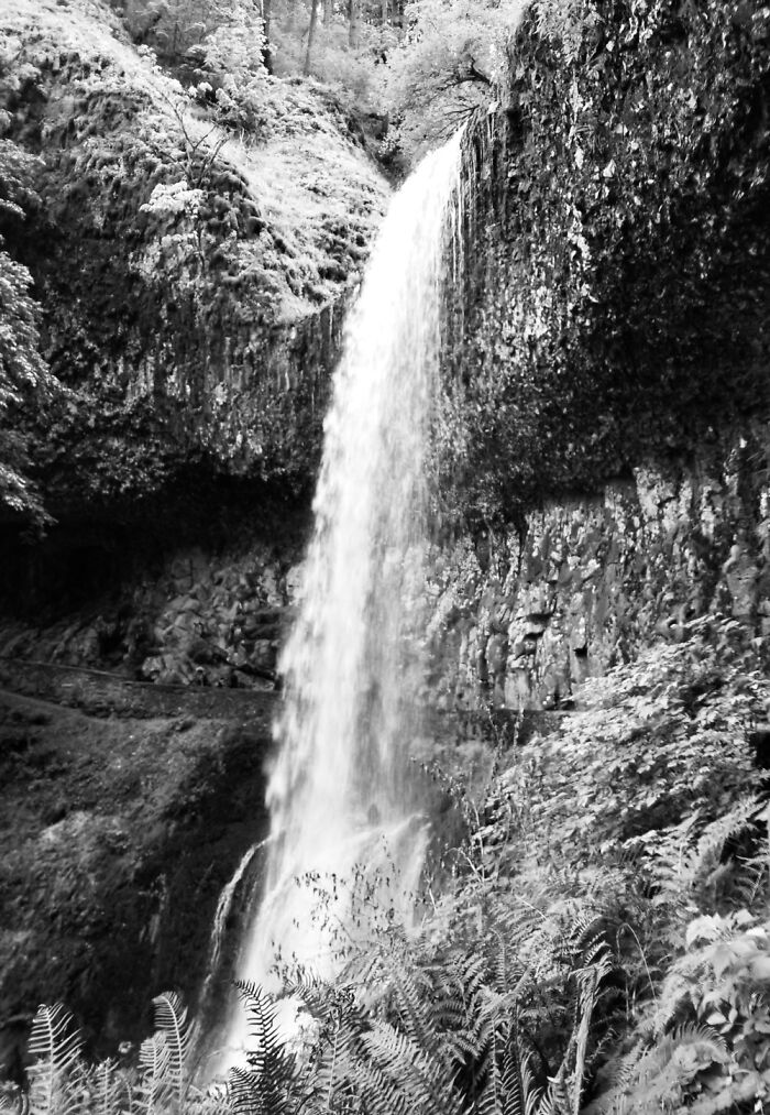 Silver Falls State Park, Oregon