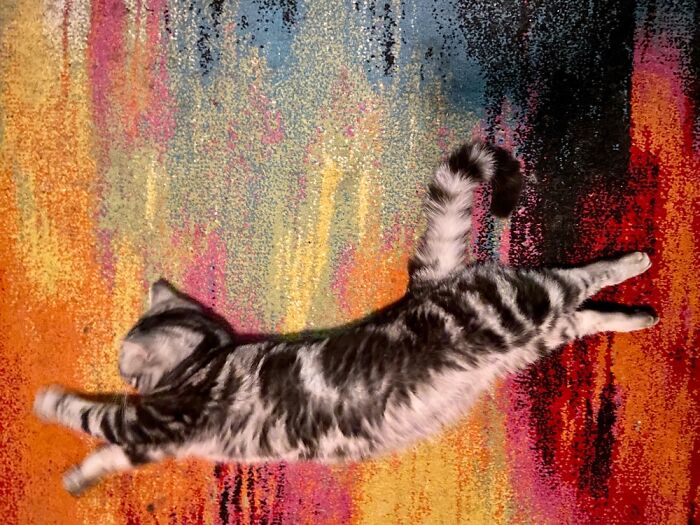 Flying Through His Dreams