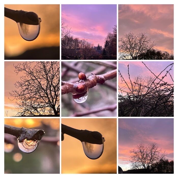 Sunrise In Melle (Belgium) On A Cold And Wet Winter Day (Seen From My Terrace)