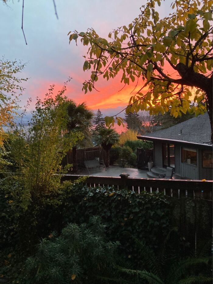 Our Daughter Sent This Sunset To Us From Oregon, USA