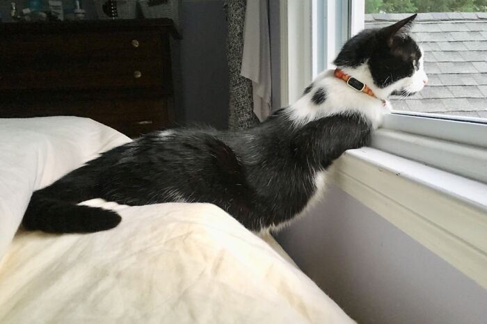 I Can’t Even Explain How He Does This.