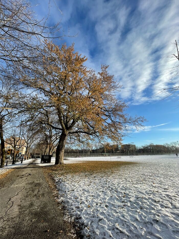 Post Snow In Montreal