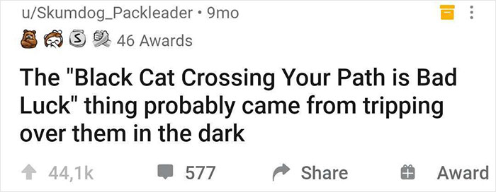 Online community shares realization: "Black Cat Crossing Your Path is Bad Luck" due to tripping over them in the dark.