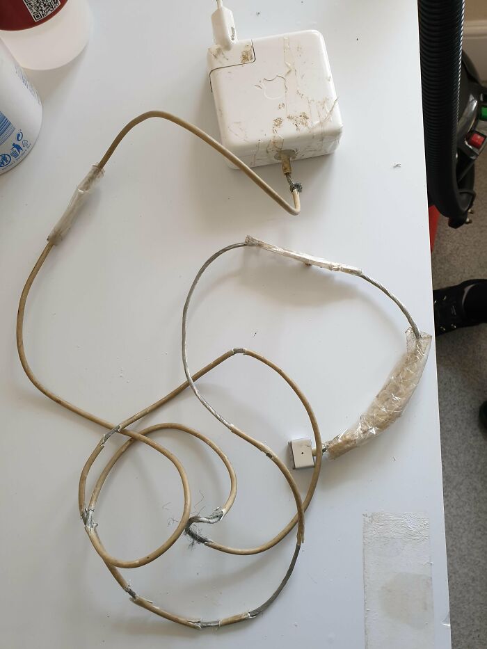  Este cable de un Mac Book es de un empleado en el trabajo