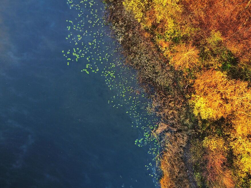 Autumn Landscape From The Air Autumn Landscape From The Air